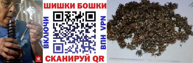 Магазины продажи наркотиков Шагонар Бошки Шишки  Alpha-PVP  ГАШ 