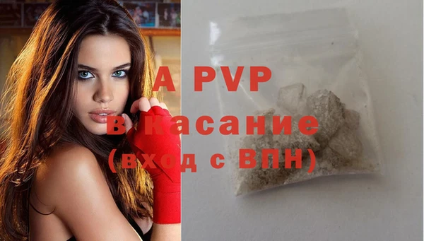 ГАЛЛЮЦИНОГЕННЫЕ ГРИБЫ Белокуриха