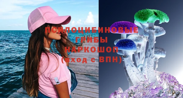 ГАЛЛЮЦИНОГЕННЫЕ ГРИБЫ Белокуриха
