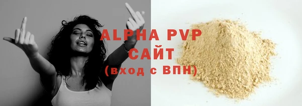 ГАЛЛЮЦИНОГЕННЫЕ ГРИБЫ Белокуриха