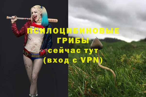 ГАЛЛЮЦИНОГЕННЫЕ ГРИБЫ Белокуриха