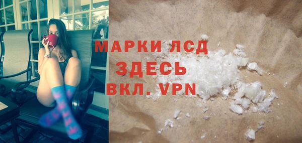 ГАЛЛЮЦИНОГЕННЫЕ ГРИБЫ Белокуриха
