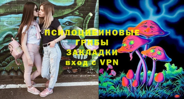 ГАЛЛЮЦИНОГЕННЫЕ ГРИБЫ Белокуриха