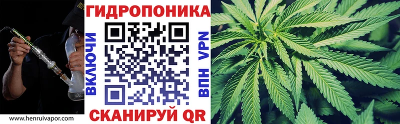 МАРИХУАНА план  Шагонар 